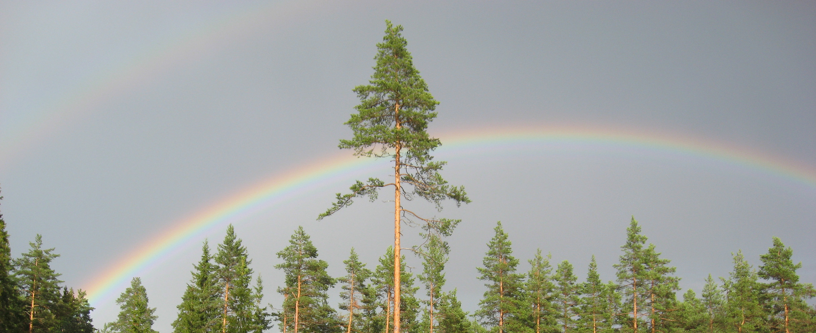 Top image of rainbow