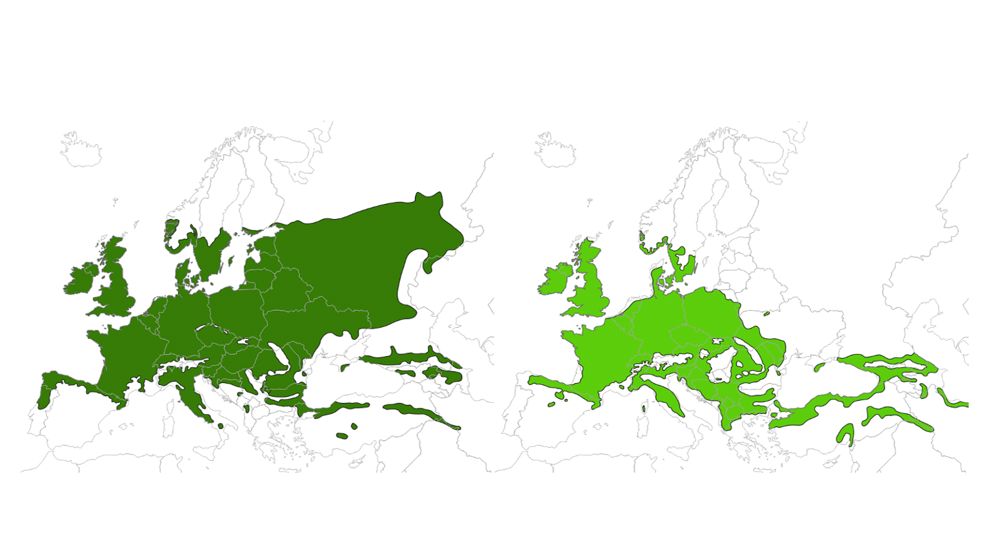 Two maps over Europe, parts of certain countries in two shades of green