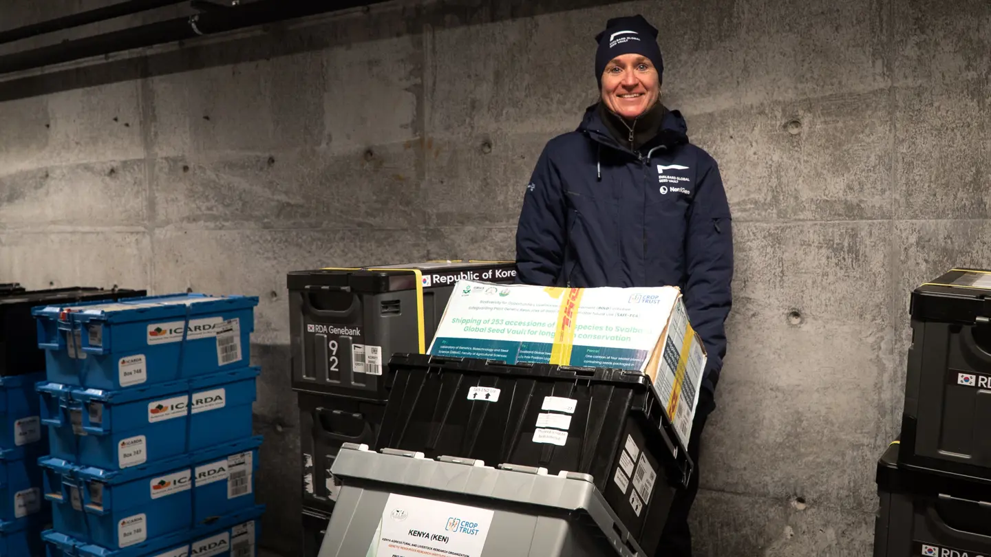 Woman standing besides boxes.