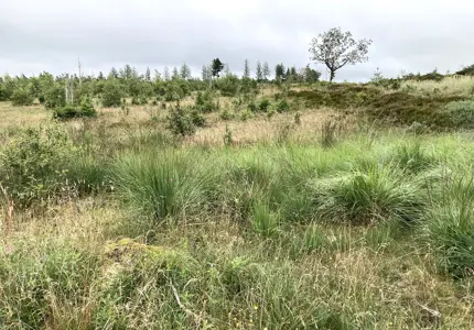 Möjliga framtida reservat för vilda kulturväxtsläktingar? Inventeringar i Danmark och Åland av områden rika på värdefulla genetiska resurser