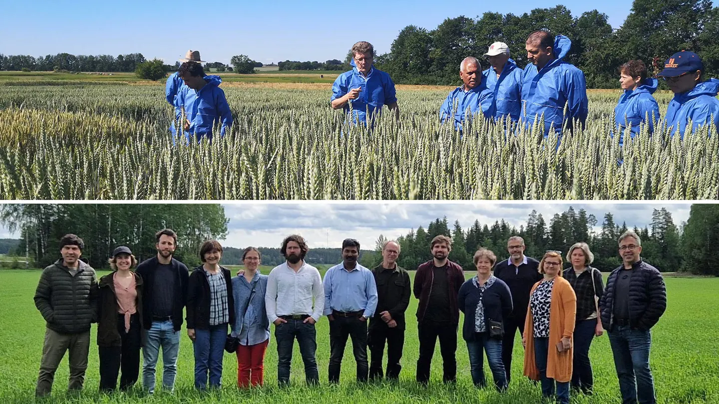 Collage of two photos showing two groups of people standing in green fields.