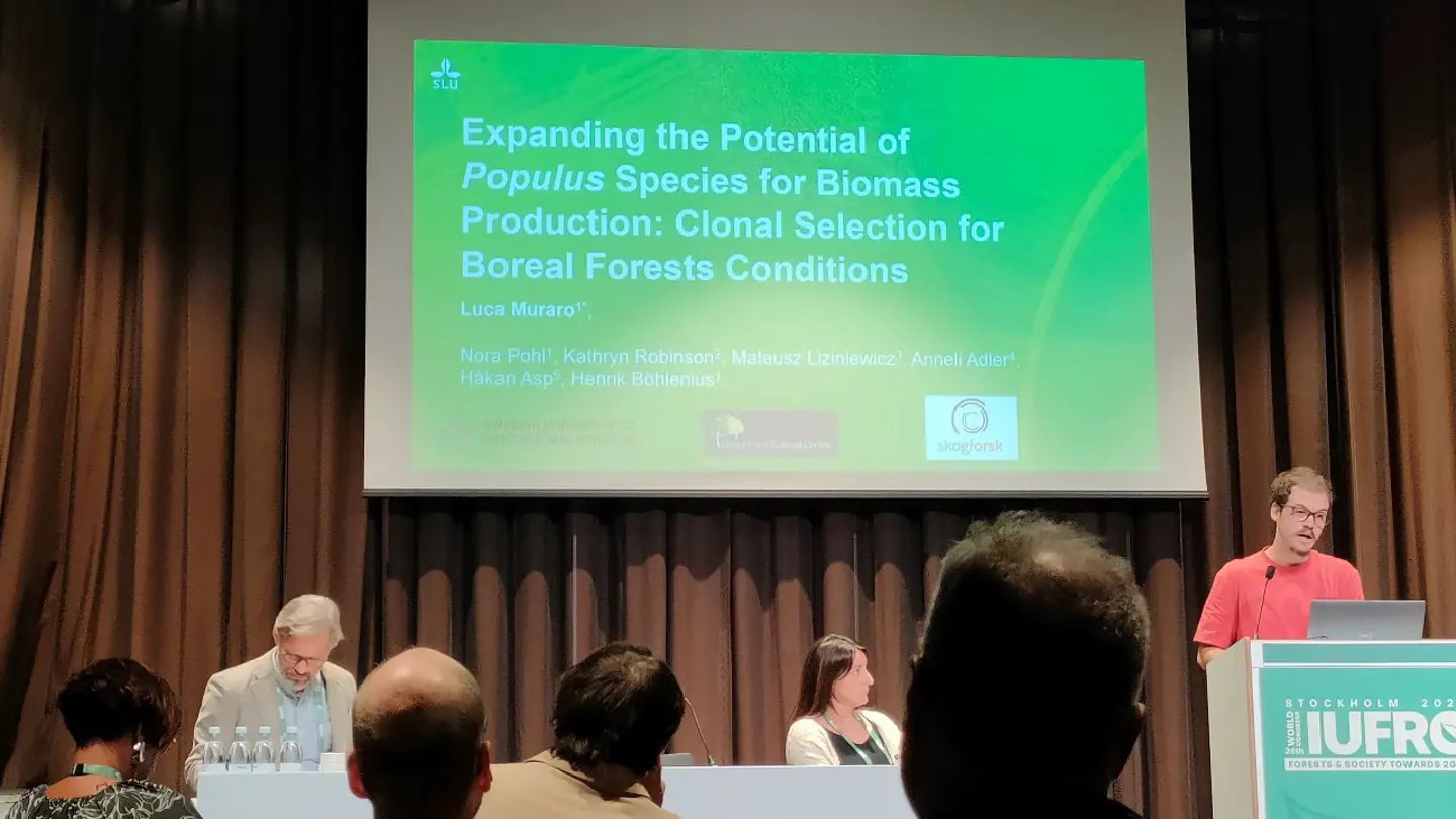 Man talar vid ett podie framför en publik.