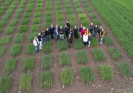 Cooperation between private and public actors – the development of important Nordic crops continues