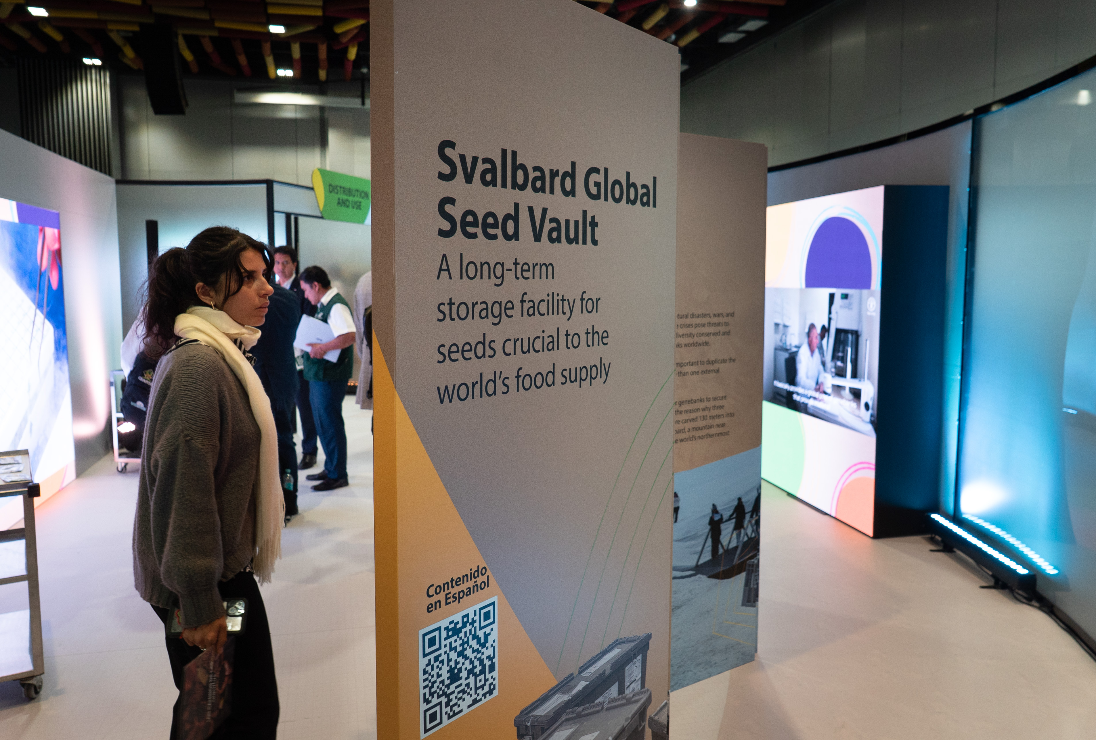 Woman watching at a wall.