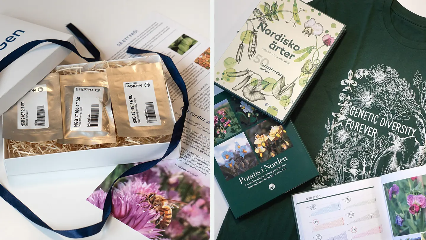 Collage showing a gift box, books and a t-shirt.