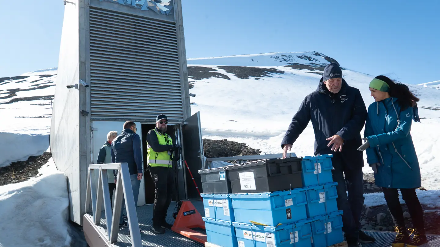 Man och kvinna står utomhus i snötäckt landskap