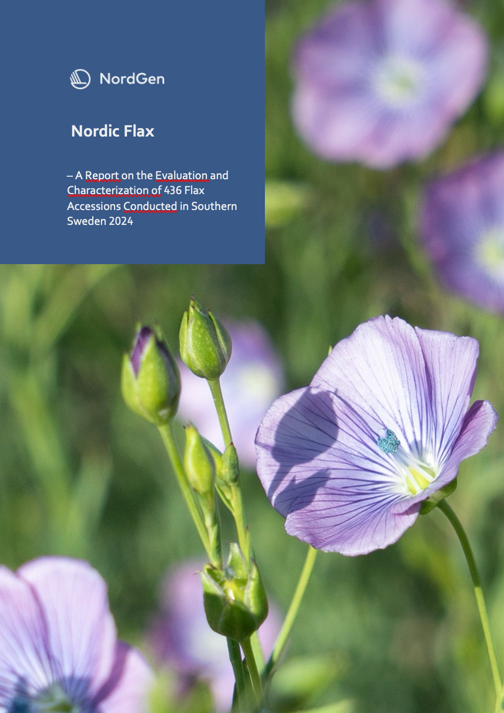 Nordic Flax: – A Report on the Evaluation and Characterization of 436 Flax Accessions Conducted in Southern Sweden 2024