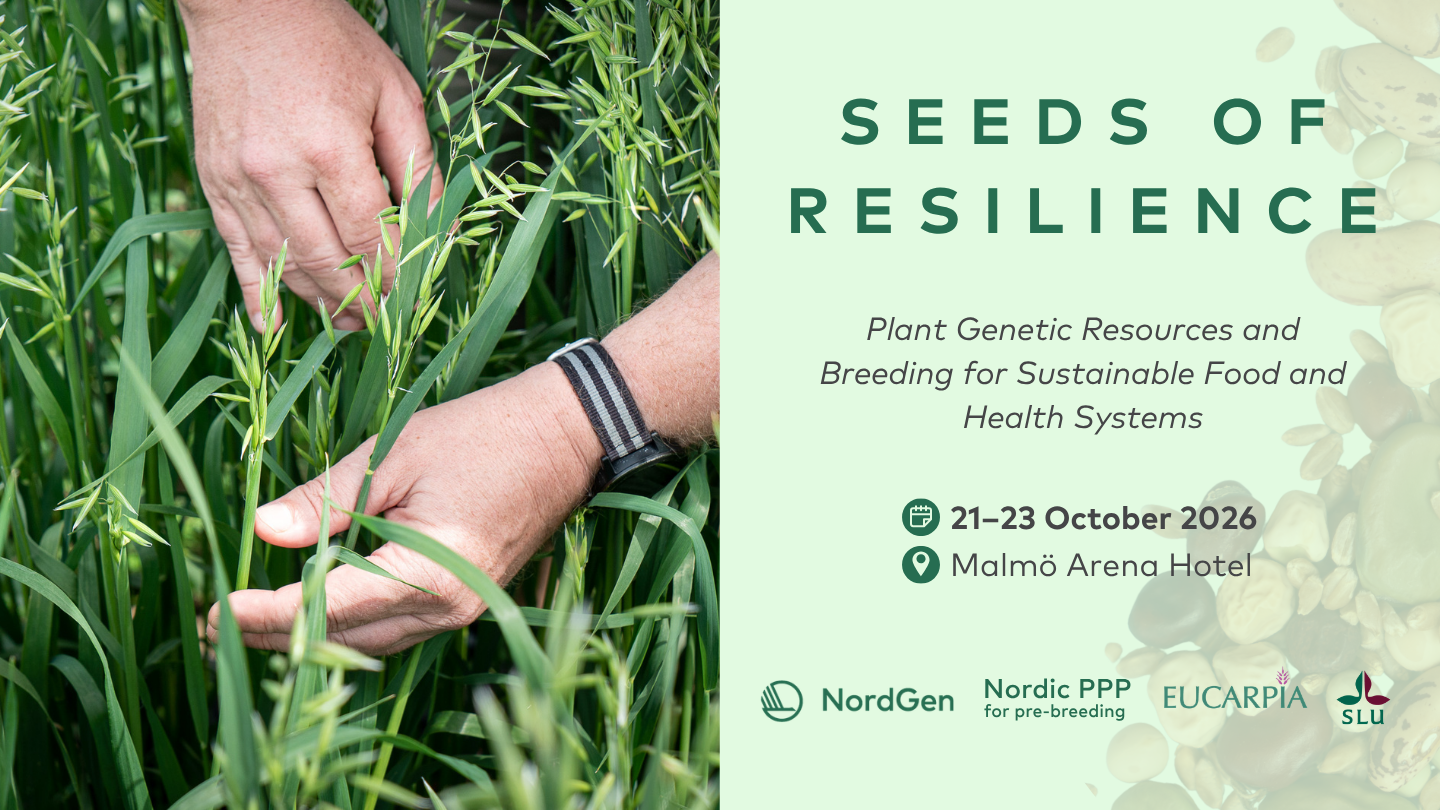 Collage