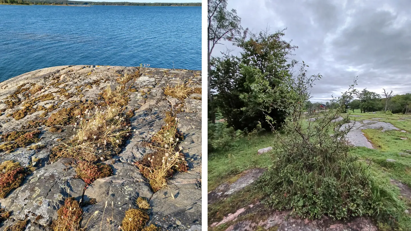 Kollage av två foto som visar natursköna vyer.