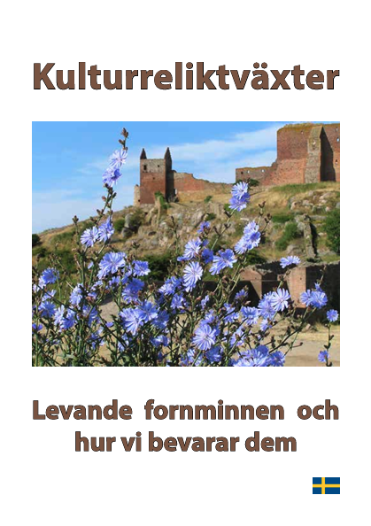 Kulturreliktväxter: Levande fornminnen och hur vi bevarar dem