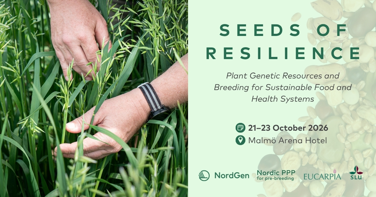 Collage of text and different photos of seeds