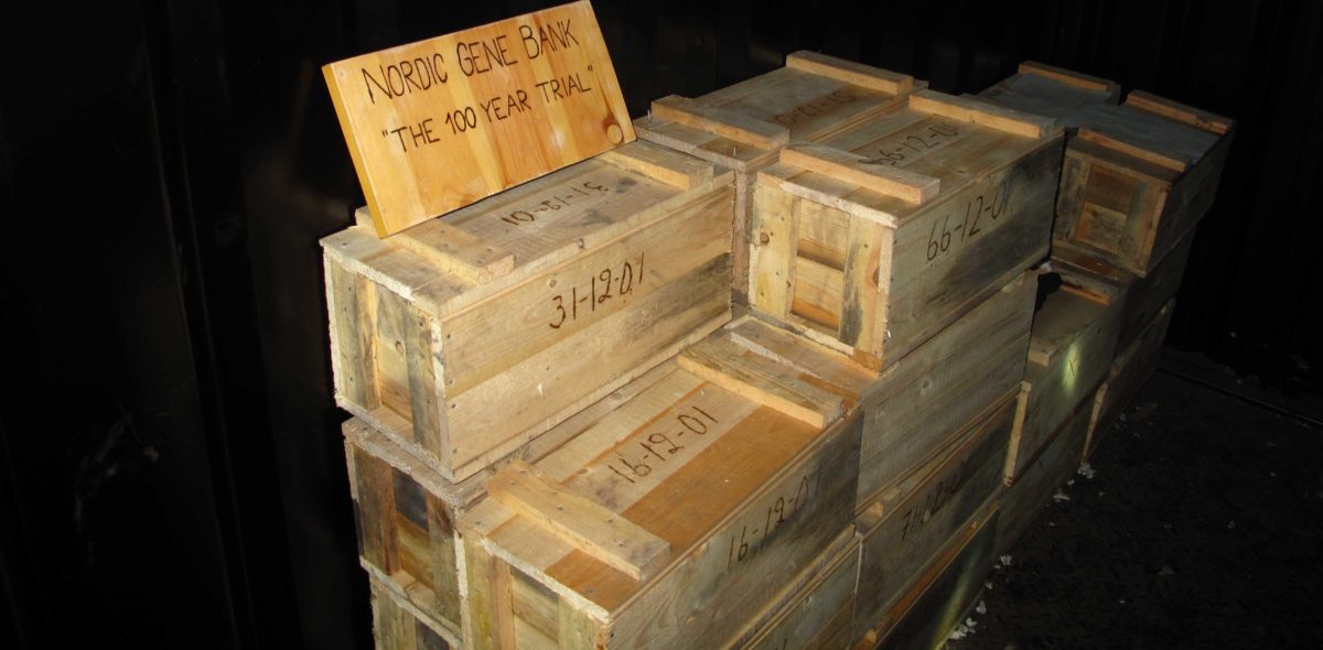 Wooden boxes with dates unscripted standing in a dark container.