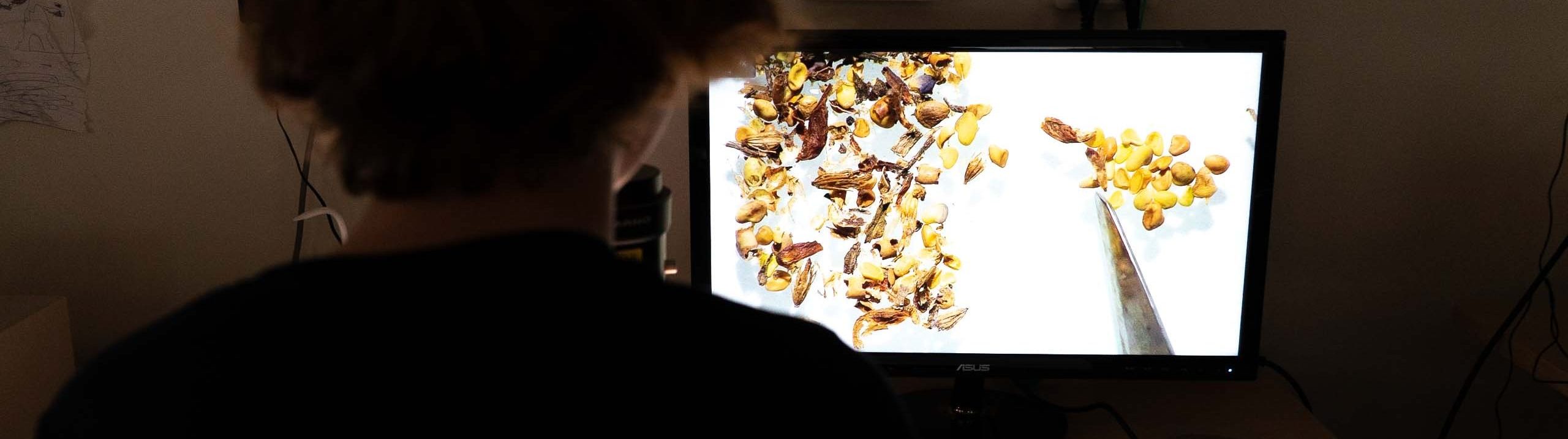 Kvinna med NordGen-tröja sitter framför en skärm med bild på uppförstorade fröer