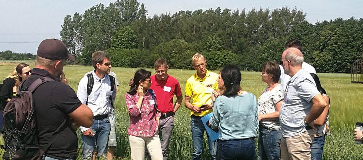 En grupp människor diskuterar ståendes i en odling av spannmål med blå himmel i bakgrunden.