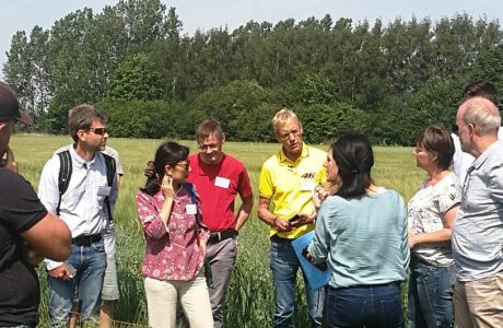 En grupp människor diskuterar ståendes i en odling av spannmål med blå himmel i bakgrunden.