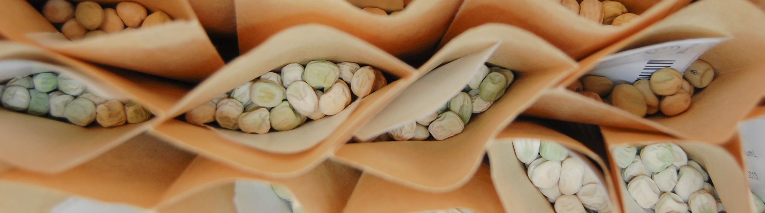 Close-up down in brown paper pouches filled with peas.