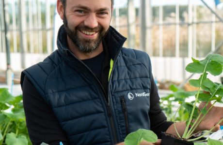 Jerker Niss, greenhouse technician, standing in NordGens greenhouse holding a plant