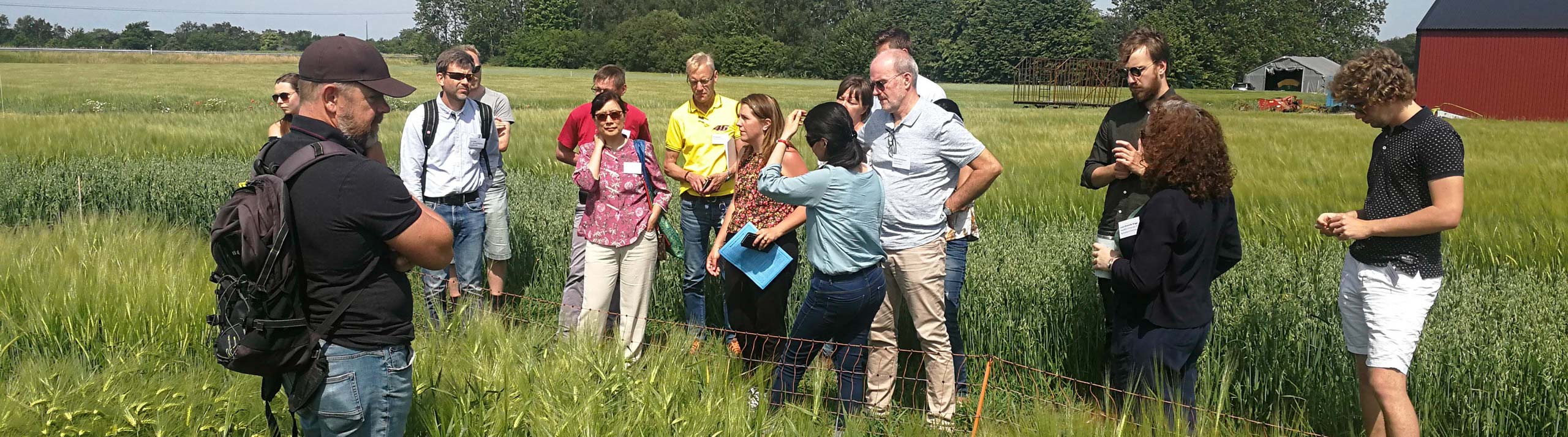 A group of people standing in a field with cereals.