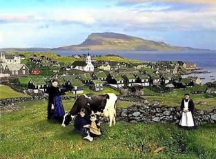 Kvinnor står intill en svartvit ko på Färöarna