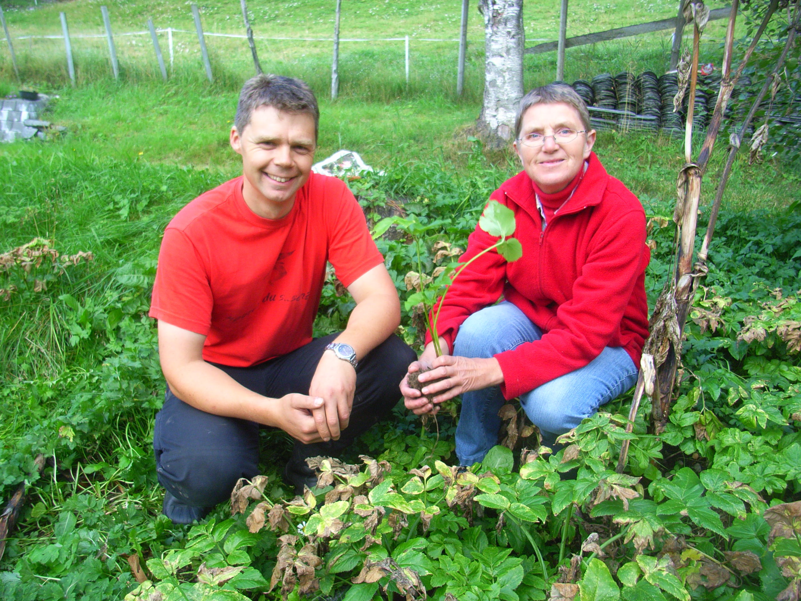 Image of two persons dressed in red shirts seated among green plants