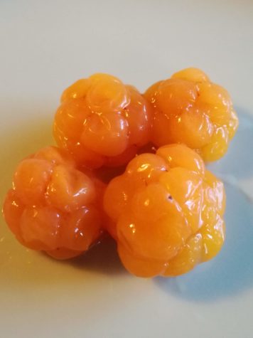 four orange berries on a grey background