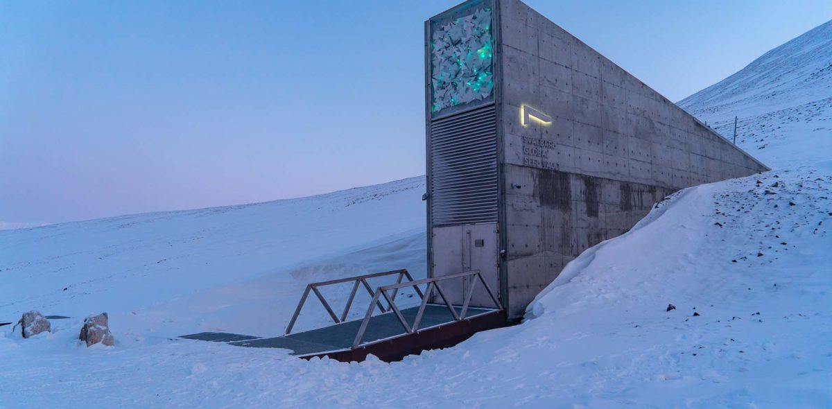 Exterior photo of the Seed Vault in front of a light blue Arctic sky.