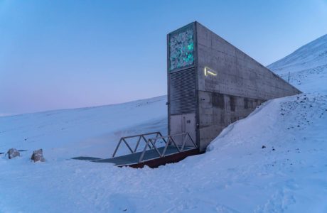 Exterior photo of the Seed Vault in front of a light blue Arctic sky.