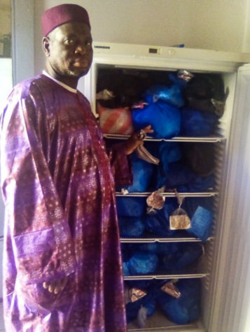 Man standing in front of a freezer with blue bags containing seeds. The man is dressed in a traditional purple African robe and hat.