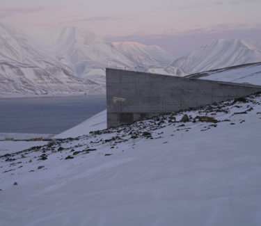 Globala frövalvet på Svalbard.