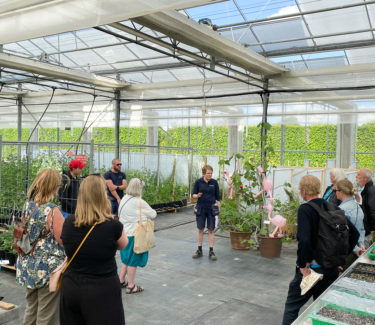 Kvinna står inför en grupp människor i ett växthus.