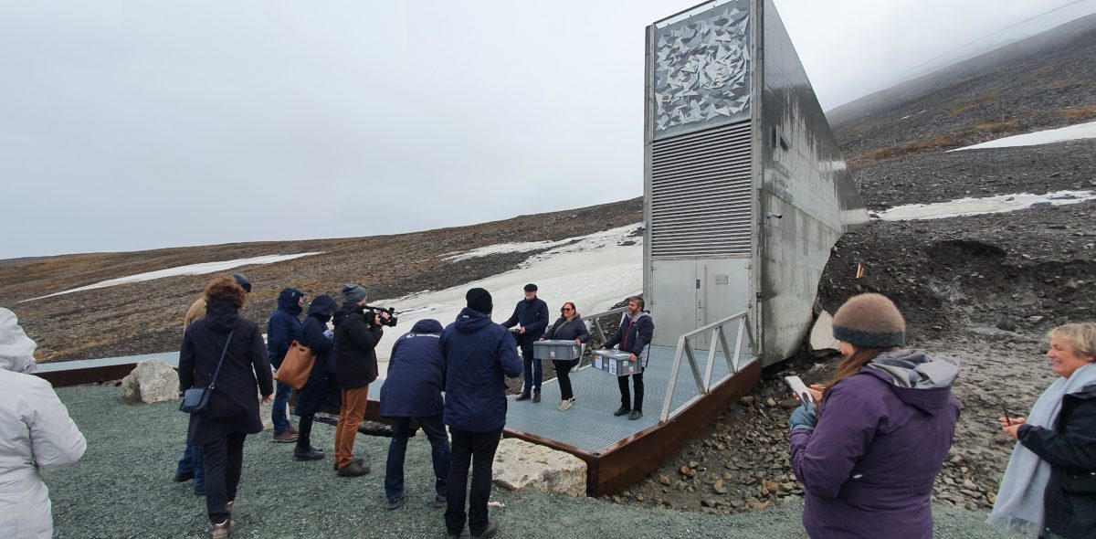 A group of people standing with their backs against the camera facing the Svalbard Global Seed Vault.