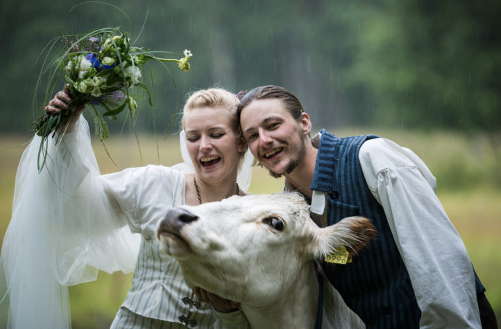 Wedding photo with cow