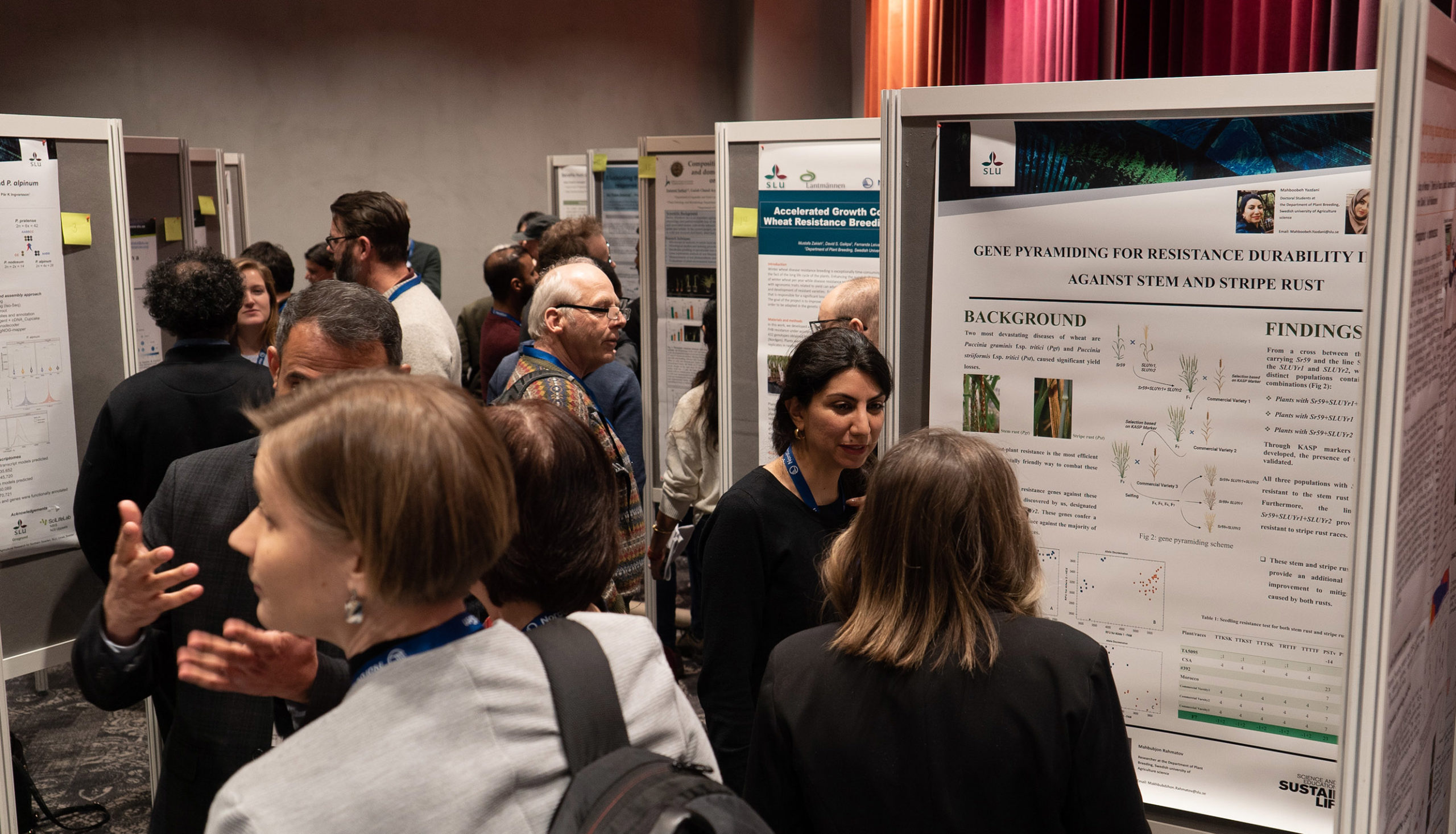 A poster session focusing on young research was organized. 