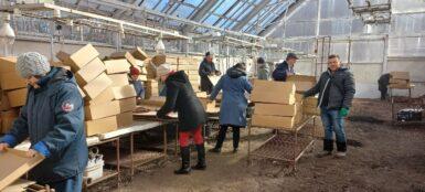 People standing in a greenhouse sorting boxes