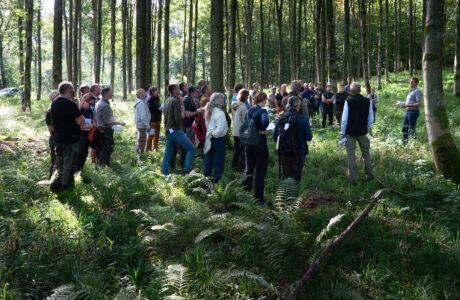 This photo shows an a group of people in the forest during an excursion at Bregentved estate.