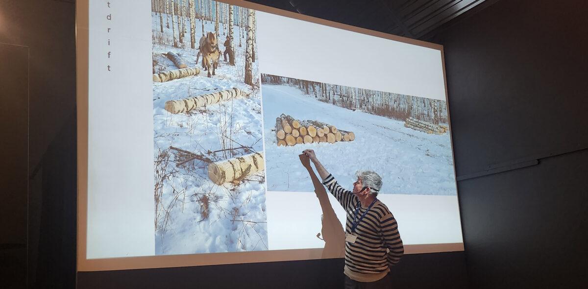 Photo of Helge Hvoslefs presentation on birch