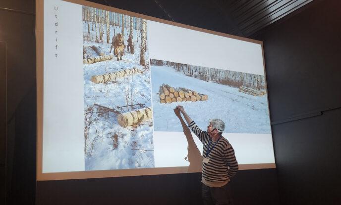 Photo of Helge Hvoslefs presentation on birch