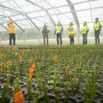 Photo of group of people in a greenhouse filled with spruce plants 
