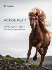 Brown horse running in the wind. The NordGen logo on top followed by the text Action Plan for the Conservation of the Faroese Horse.